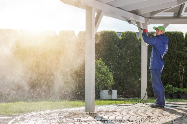 Best Paint Preparation  in Marcellus, MI